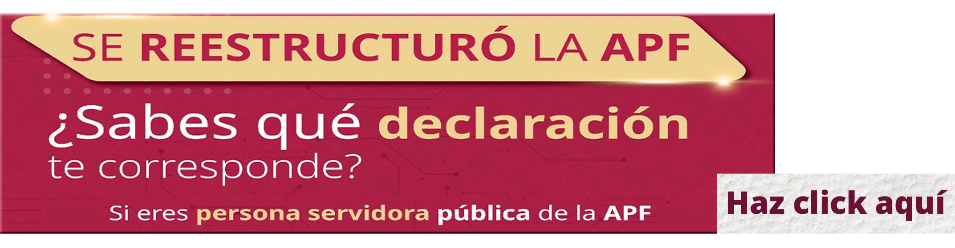 Declaración Patrimonial 2025